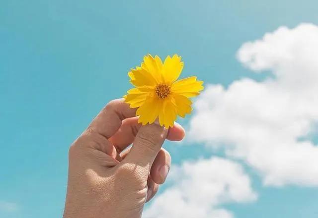 唯美文字句子，优美经典字句 唯美（励志文字大全）