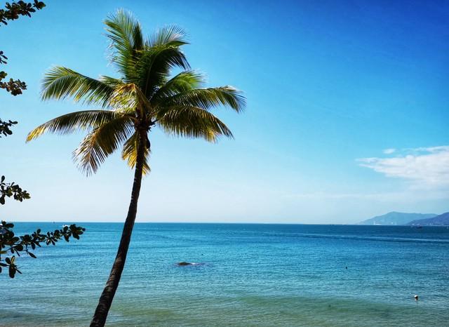 做什么梦说明爱情要来了，什么梦预示真爱到了（爱情魅力追求梦）