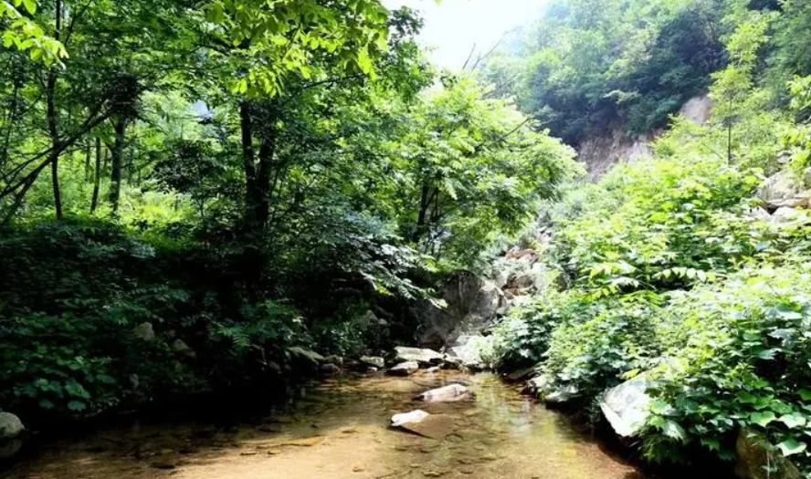 地址:平頂山市魯山縣堯山鎮想馬河村境內