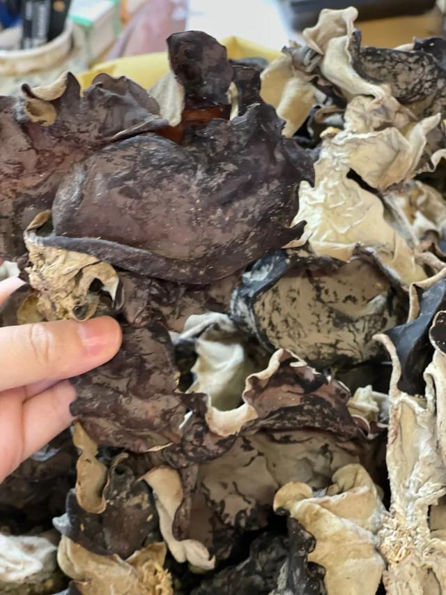 银耳多少钱一斤，黄金银耳的种植前景（盘溪批发市场给的）