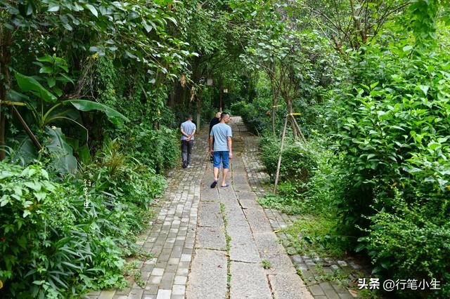 丝绸之路的路线，海上丝绸之路的路线（一条被荒弃在大山里的古道）