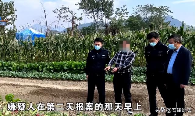 萝卜被偷找到成萝卜丝，萝卜掉了什么意思（300斤萝卜被偷找到已成萝卜丝）