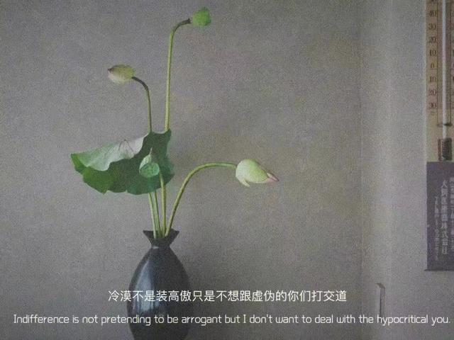 关于心情的说说，心情的说说（发朋友圈的情绪句子）