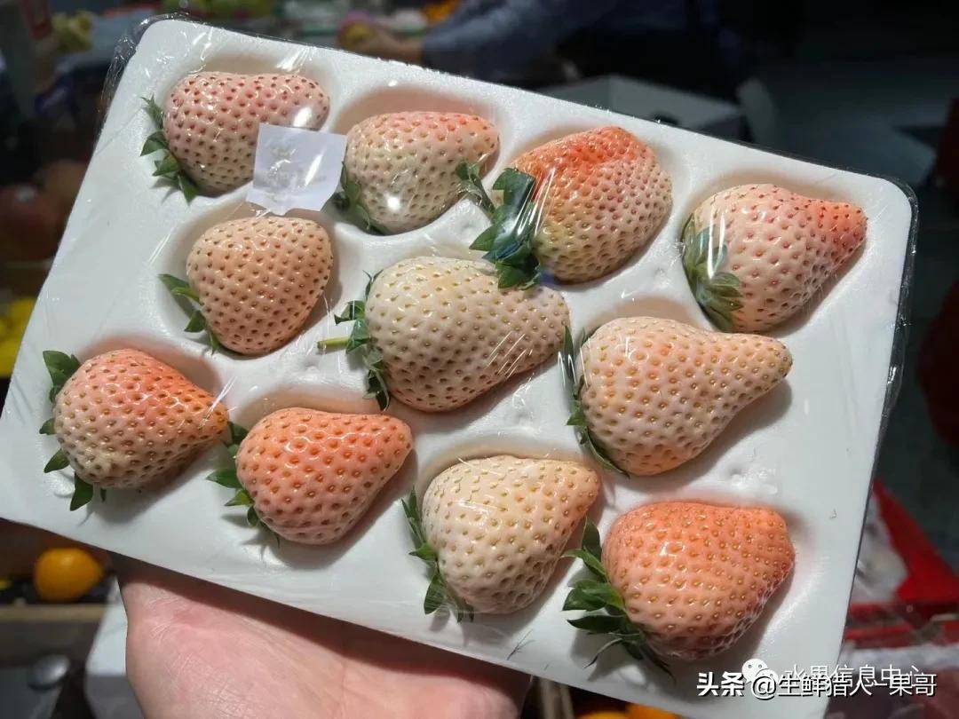 浆果是什么，浆果是什么软件（不同水果的不同包装<浆果篇>）