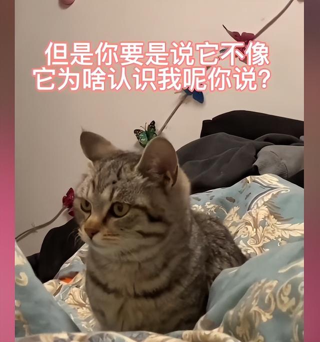 如何寻找相同的图片，如何找到相同图片（网友：这长得也太不一样了吧）