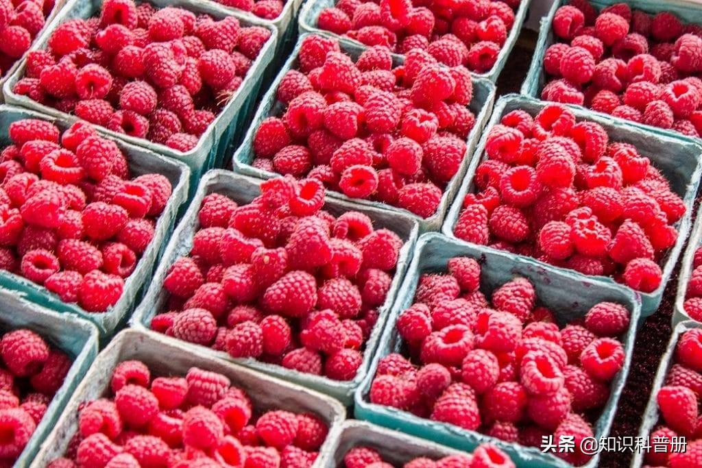 血压低吃什么食物，血压低吃什么食物补的最快（可以吃15种食物<建议收藏>）