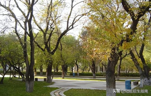 卫校出来能干嘛，卫校毕业出来能干嘛（卫校毕业后可以到哪些地方就业）