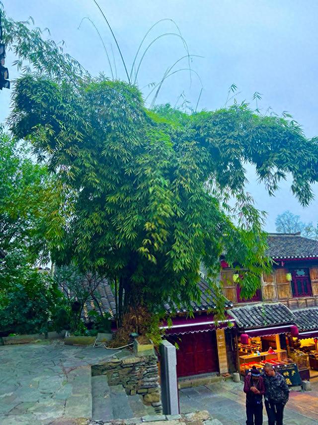 青岩古镇最良心的攻略，玩转古城分分钟，避坑后才能玩出新花样！