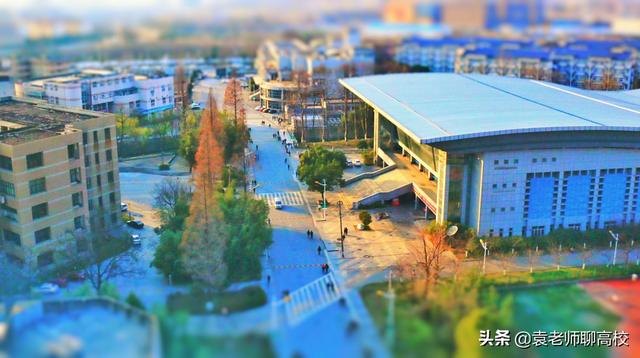 南京林业大学为什么排名很低，2021南京林业大学排名（一个211一个双非省重点怎么选）