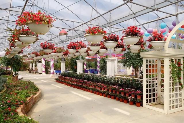 广州景点排行榜前十名，广州旅游景点排名前十（广州十大冷门景点）