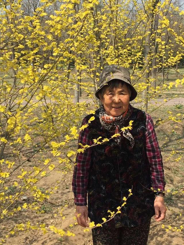 感恩妈妈的句子，感恩妈妈的句子经典语录朋友圈（感恩妈妈，有妈才有家）