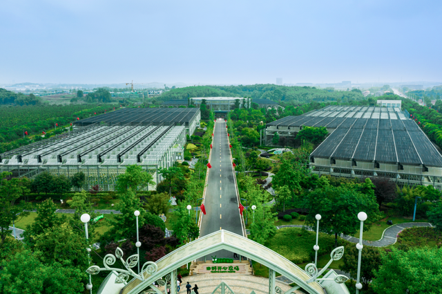 周末和朋友去哪玩，周末和朋友出去玩啥（绝美秋景、养生温泉、水果采摘…都在这条线路里）