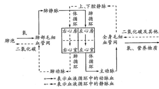 最新2022中考生物知识点整理