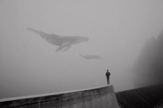 百年孤独经典句子，百年孤独经典的句子有哪些（世界名著《百年孤独》究竟有多伟大）