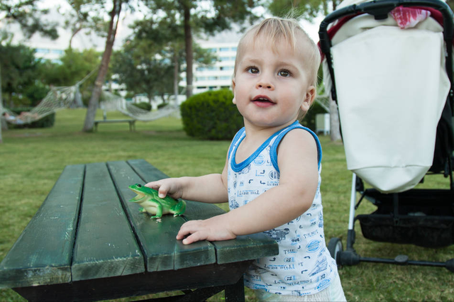 尿片怎么用，答案：没有，“等”就行了（宠物尿片怎么用）