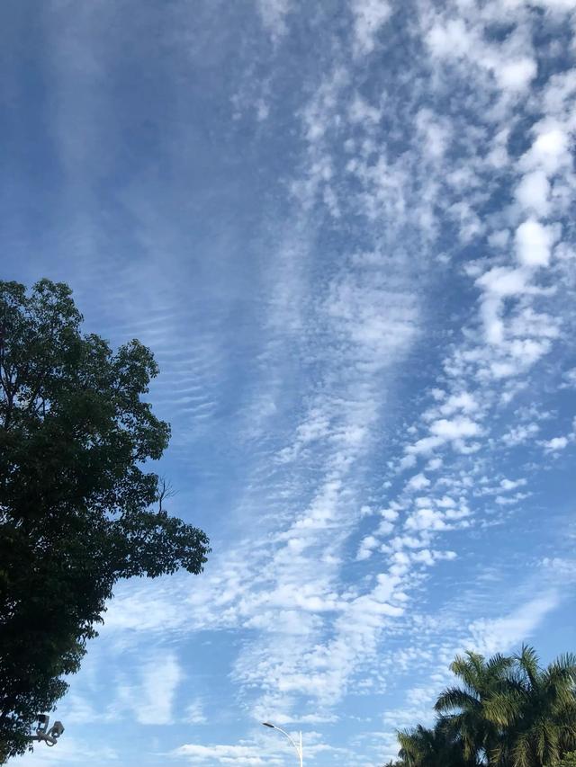 自然阳光好不好，升官发财的风水方法（阳光自然会进来何必去扫呢）