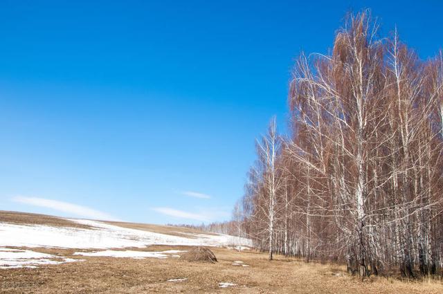 -一切皆是命数.，一切皆是命数小说（命由我作，福自己求，如何改命图片）