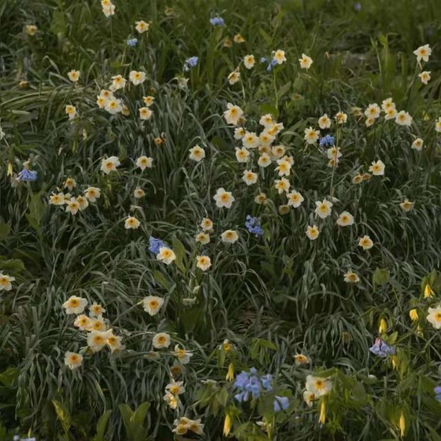 失望的网名，对一个人心寒失望的网名（文案丨“满眼失望的短句文案”）