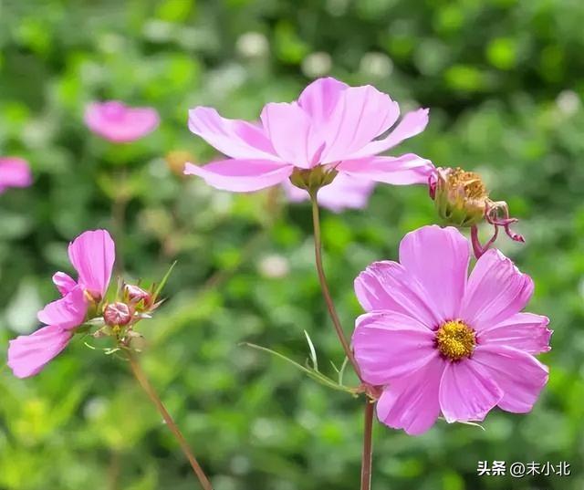 个人特质有哪些，一个人的特质有哪些（往往有以下五个特点）