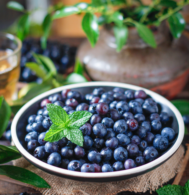 蓝莓几月份成熟，蓝莓什么时候结果（蓝莓丨春季的“高端水果”熟了）