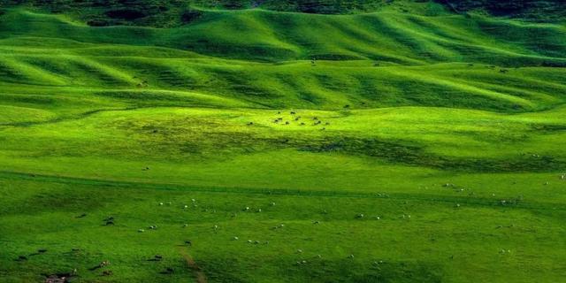 陇南有什么好玩的地方，陇南有哪些地方好玩（陇南这6处超好玩的宝藏打卡地）