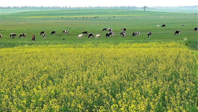 恩施几月份去旅游最好，恩施旅游什么时候最佳（适合七八月旅行的８座小城）