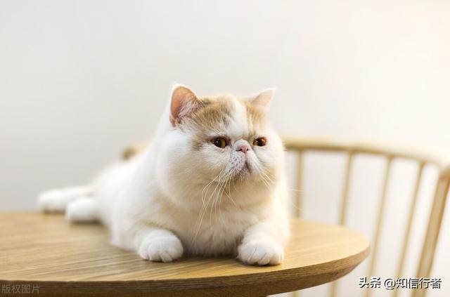 如何提升自己的能力，提升自我能力的方法（怎么快速提升自己的赚钱能力）