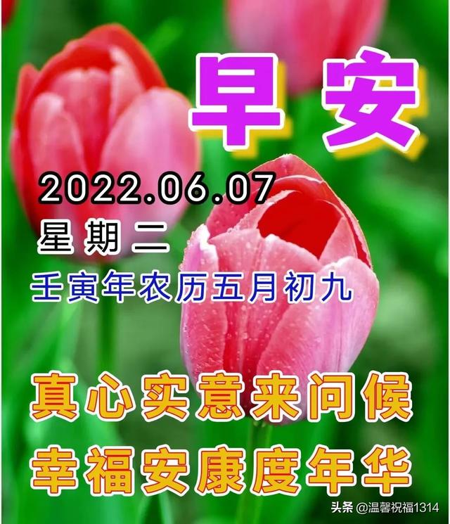 岁月静好短句八个字，岁月静好的唯美八字短句（6月7日早安问候）