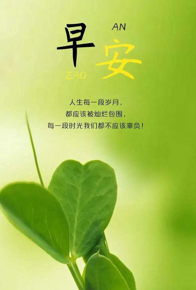 励志句子图片带字图片清晰(心情好的照片图片)-益写作