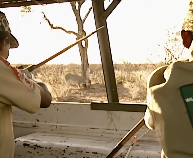 历史悠长的布须曼人，布须曼人的太阳传说（古老的布须曼人）