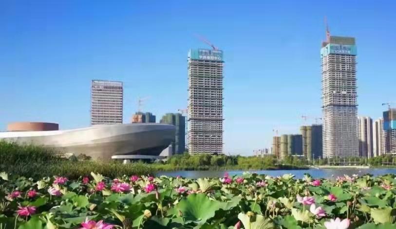 合肥最高楼(合肥国厚大厦有多高)