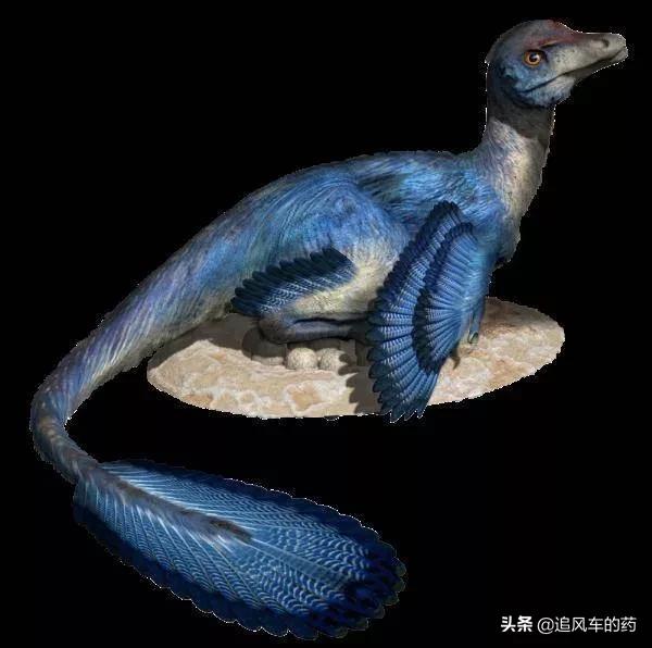 世界上最厉害的恐龙是什么恐龙，能杀死霸王龙的十种恐龙（世界五大恐龙之最）