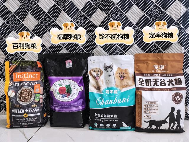 狗狗最害怕哪些东西，狗狗最害怕的7件事