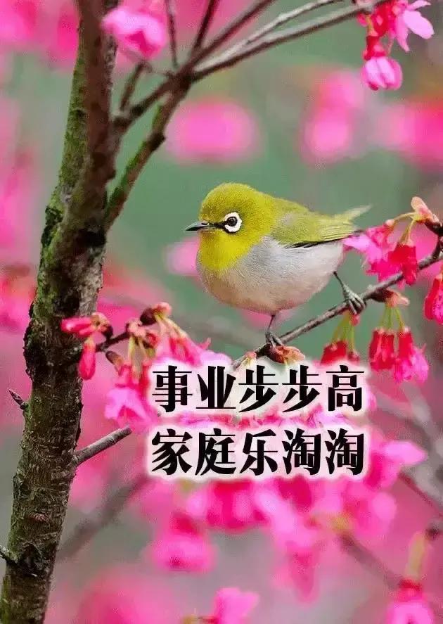 03年属什么生肖，03年属什么（2023年04月03日）