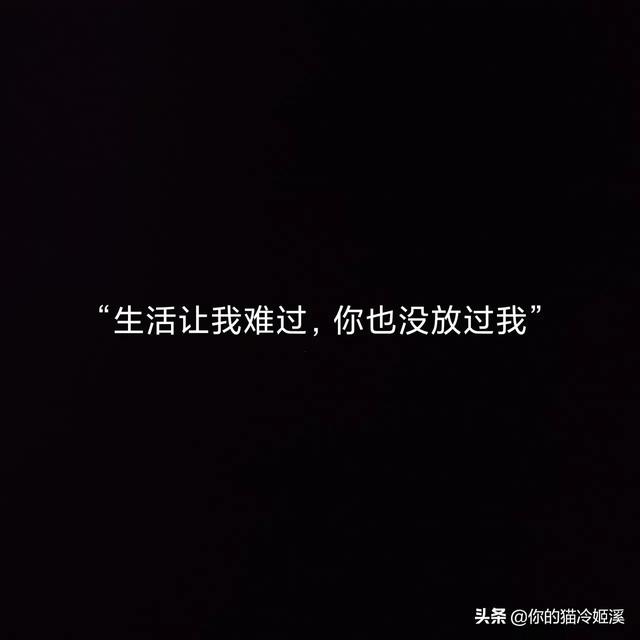 我喜欢你的冷态度(我喜欢你的冷态度是什么歌)