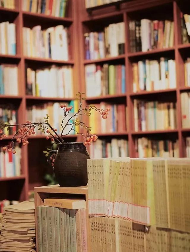 云南最好吃的野生菌在哪，中国最浪漫城市非她莫属