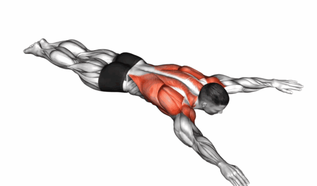 菱形肌锻炼方法，菱形肌怎么练（不可忽视的深层肌肉—菱形肌）