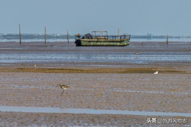 沿海城市有哪些，海边旅游去哪里好（中国真正的12个海滨城市）