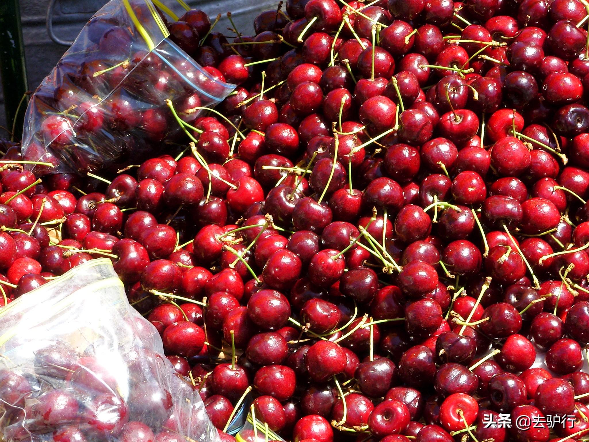 智利在哪个地方，智利是什么地方（智利真是个“宝藏”国家）