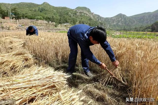 小岗村家庭联产承包责任制，家庭联产承包责任制（怎样理解土地承包责任制与分田单干）