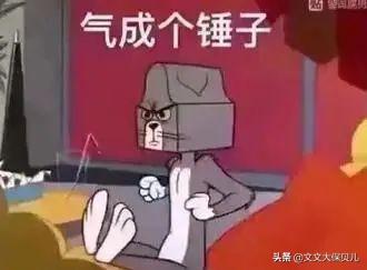 股票配债是什么意思，配债是什么意思要购买吗（股票配债是什么意思）