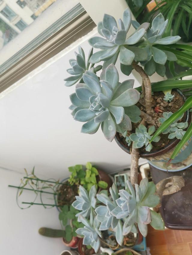 有哪些好听的网名，好看又好听的网名400个（都是些什么名字呢）