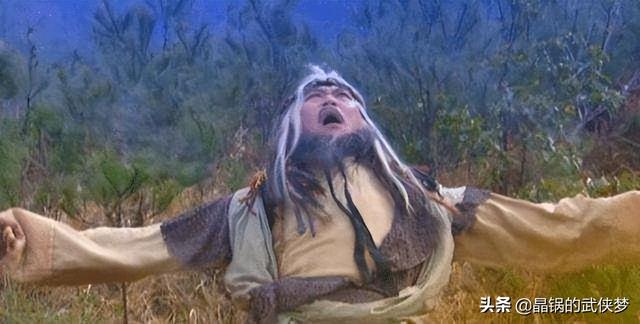 夺情花 电视剧，夺情花（金庸笔下的忘年之恋）