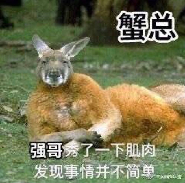 咸鱼图片表情包，沙雕咸鱼文字表情包（言情作者风格大赏）