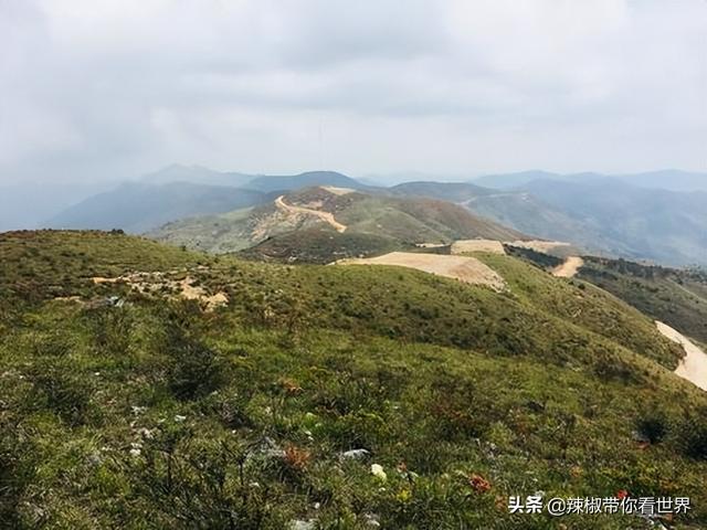 百里画廊是福建的哪一个城市，百里画廊之美誉位于哪里（“百里画廊”“闽东”宁德——是美味国鱼“大黄鱼”之乡）