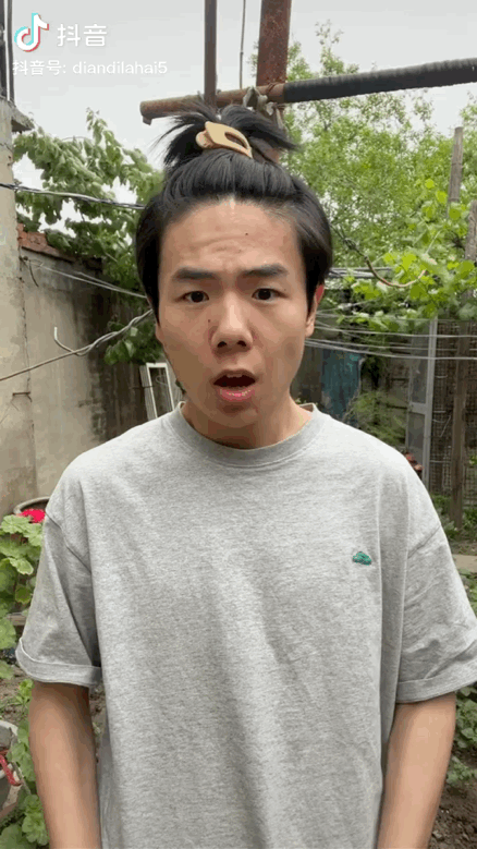 扑棱蛾子是什么梗，扑棱蛾子是什么梗贝斯（听说他换头是靠p的）