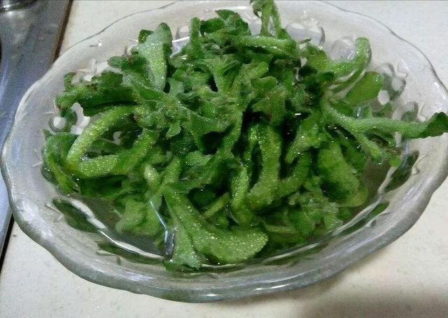 冰菜怎么吃，冰菜是生吃还是熟吃（冰菜能不能吃）