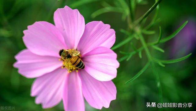 夸赞女人漂亮的句子，夸赞女人漂亮的句子和成语（形容女人性感的句子）