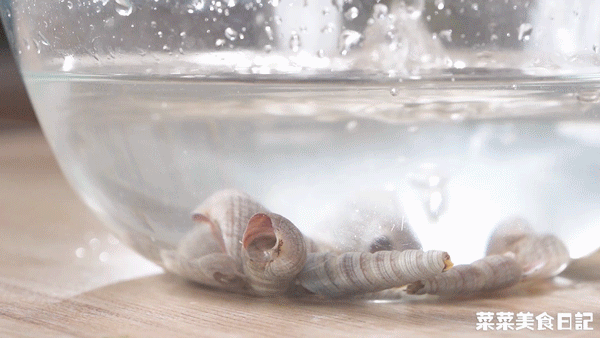 芥末鱿鱼的做法，芥末拌的烤鱿鱼怎么做（烫5秒就上桌，鲜嫩弹牙）