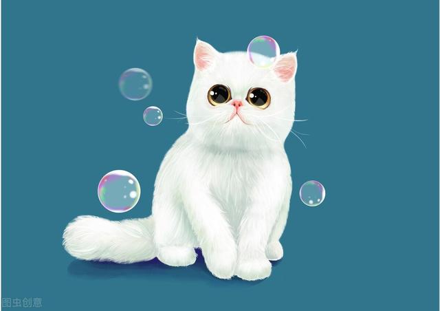 梦到蝎子是什么征兆女性，梦见蝎子是什么预兆（天蝎女各方面运势如何）